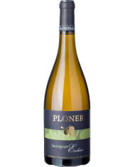White wines  Sauvignon Exclusive Doc Magnum 2021 - Ploner 66,63 â‚¬ White wines  Sauvignon Exclusive Doc Magnum 2021 - Ploner 66,63 â‚¬