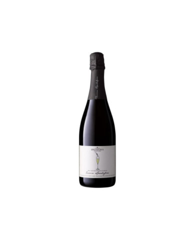 Vini Bianchi  Enrica Spadafora Brut Nature Terre Siciliane Bio IGP - Dei Principi di Spadafora 35,16 € Vini Bianchi  Enrica Spadafora Brut Nature Terre Siciliane Bio IGP - Dei Principi di Spadafora 35,16 €