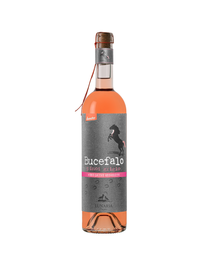 Vini Rossi  Cassetta Orsogna Winery: Lunaria Bucefalo Rosso - Malvasia Orange IGP - Pinot Grigio Passito IGP - Cantina Orsogn...