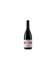 Red Wines  Piedirosso Taburno Sannio Dop 2022 - Fattoria Rivolta 12,08 €