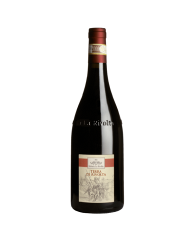 Red Wines  Terra di Rivolta Aglianico del Taburno Riserva D.O.C.G. 2015 - Fattoria Rivolta 33,20 € Red Wines  Terra di Rivolta Aglianico del Taburno Riserva D.O.C.G. 2015 - Fattoria Rivolta 33,20 €
