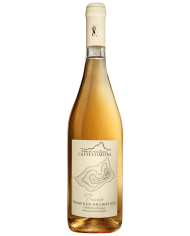 Witte Wijnen  T-ramè Traminer aromatico IGP Terre dell'Aquila 2019 - Castelsimoni 18,85 €