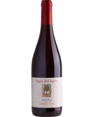 Rode wijnen  Isonzo Cabernet Franc DOC 2022 - Vigna del Lauro 9,50 â‚¬ Rode wijnen  Isonzo Cabernet Franc DOC 2022 - Vigna del Lauro 9,50 â‚¬