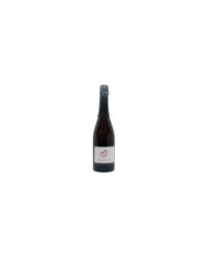Witte Wijnen  Spumante Metodo Classico Rosè 2018 - Mario Sommelier 12,30 €