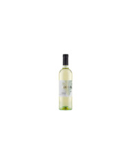 White wines  Quercianera Trebbiano d’Abruzzo DOC 2023 - Spinelli 5,70 €