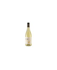 Vini Bianchi  Tratturo Chardonnay Terre di Chieti Igt 2023 - Spinelli 7,20&nbsp;€
