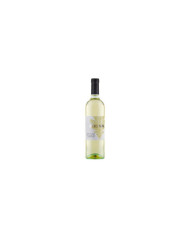 Vini Bianchi  Quercianera Chardonnay Terre di Chieti IGT 2023 - Spinelli 7,20 €