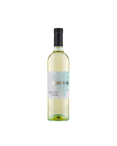 White wines  Quercianera Pecorino Terre di Chieti IGT 2023 - Spinelli 5,70 â‚¬ White wines  Quercianera Pecorino Terre di Chieti IGT 2023 - Spinelli 5,70 â‚¬