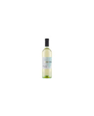 White wines  Quercianera Pecorino Terre di Chieti IGT 2023 - Spinelli 5,70 €