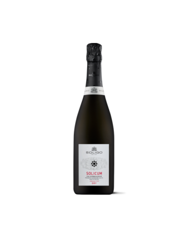 Schaumweine  SOLICUM Rive di Soligo Millesimato Valdobbiadene Prosecco Superiore DOCG Dry - Colli del Soligo 13,20 € Schaumweine  SOLICUM Rive di Soligo Millesimato Valdobbiadene Prosecco Superiore DOCG Dry - Colli del Soligo 13,20 €