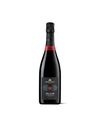 Schaumweine  SOLICUM Valdobbiadene Superiore di CARTIZZE DOCG Brut - Colli del Soligo 22,70 € Schaumweine  SOLICUM Valdobbiadene Superiore di CARTIZZE DOCG Brut - Colli del Soligo 22,70 €
