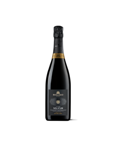 Schaumweine  SOLICUM Cuvée Conegliano Valdobbiadene Prosecco Superiore Millesimato DOCG Extra Dry - Colli del Soligo 13,35 € Schaumweine  SOLICUM Cuvée Conegliano Valdobbiadene Prosecco Superiore Millesimato DOCG Extra Dry - Colli del Soligo 13,35 €