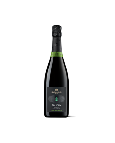 Bio-Weine  SOLICUM Prosecco Biologico Treviso DOC Brut - Colli del Soligo 10,50 â‚¬ Bio-Weine  SOLICUM Prosecco Biologico Treviso DOC Brut - Colli del Soligo 10,50 â‚¬