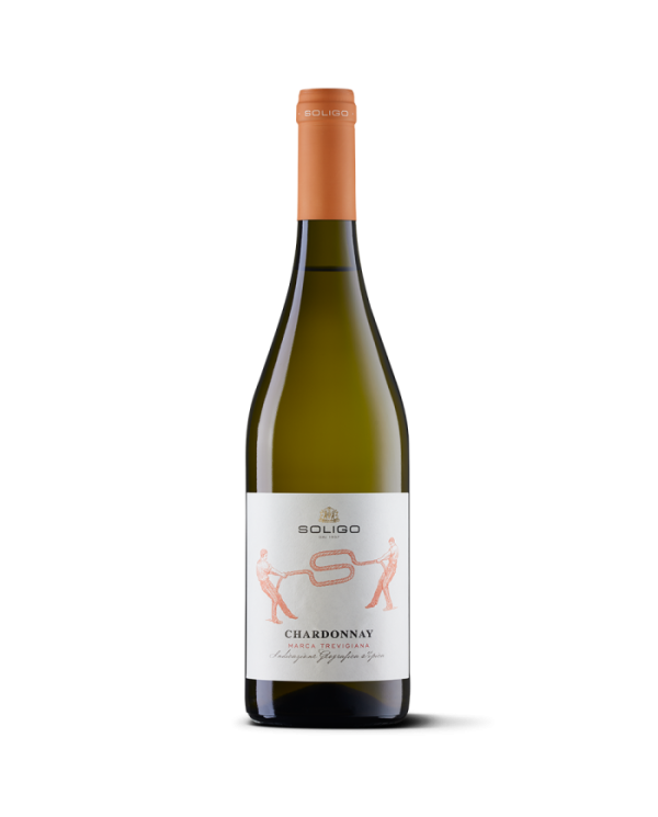 Witte Wijnen  Chardonnay Marca Trevigiana 2022 IGT - Colli del Soligo 8,36 €