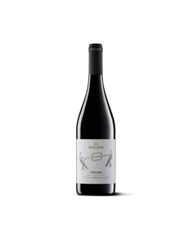 Vini Rossi  CESARE Colli Trevigiani 2017 IGT - Colli del Soligo 16,80 â‚¬ Vini Rossi  CESARE Colli Trevigiani 2017 IGT - Colli del Soligo 16,80 â‚¬