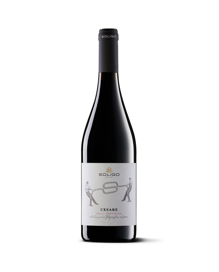 Red Wines  CESARE Colli Trevigiani 2017 IGT - Colli del Soligo 16,80 â‚¬ Red Wines  CESARE Colli Trevigiani 2017 IGT - Colli del Soligo 16,80 â‚¬