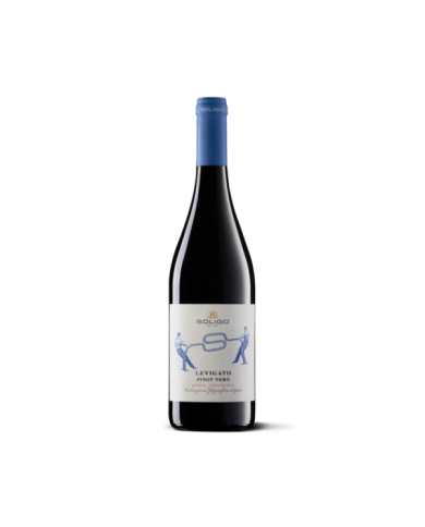 Red Wines  LEVIGATO Pinot Nero Marca Trevigiana 2021 IGT - Colli del Soligo 8,82 € Red Wines  LEVIGATO Pinot Nero Marca Trevigiana 2021 IGT - Colli del Soligo 8,82 €