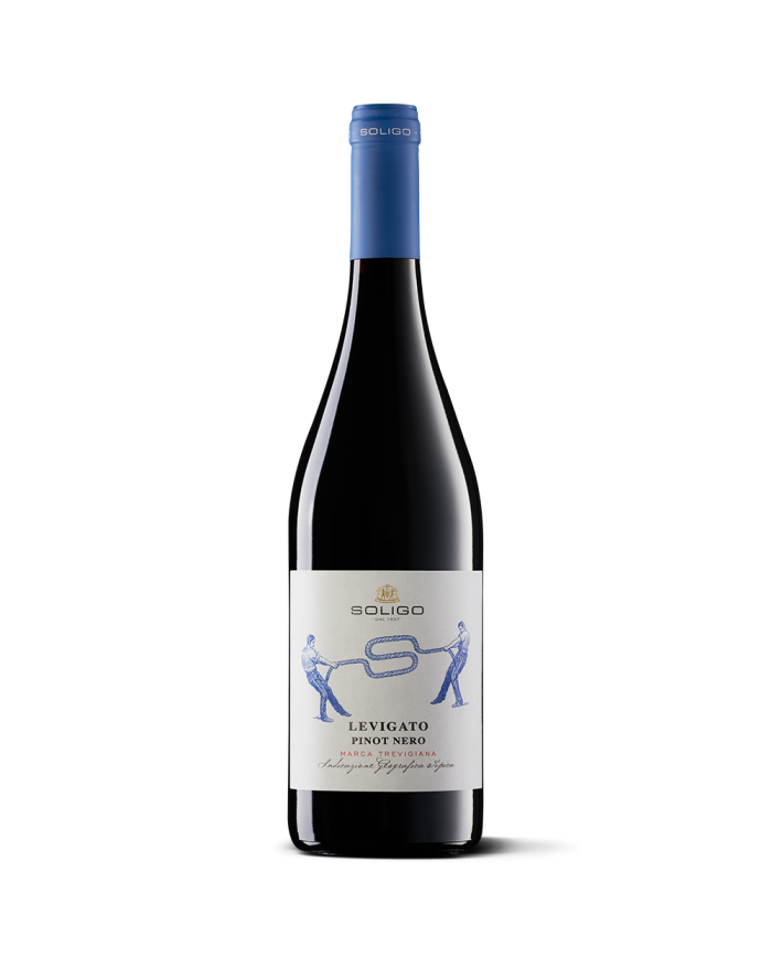 Rode wijnen  LEVIGATO Pinot Nero Marca Trevigiana 2021 IGT - Colli del Soligo 8,82 â‚¬ Rode wijnen  LEVIGATO Pinot Nero Marca Trevigiana 2021 IGT - Colli del Soligo 8,82 â‚¬