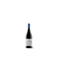 Rode wijnen  Cabernet Sauvignon Marca Trevigiana 2021 IGT - Colli del Soligo 7,50 â‚¬ Rode wijnen  Cabernet Sauvignon Marca Trevigiana 2021 IGT - Colli del Soligo 7,50 â‚¬