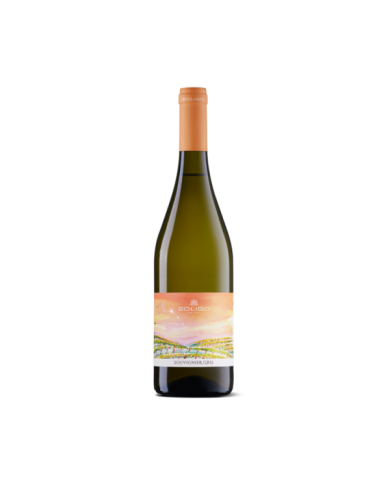 Witte Wijnen  Souvignier Gris PIWI Resistente 2022 - Colli del Soligo 8,85 â‚¬ Witte Wijnen  Souvignier Gris PIWI Resistente 2022 - Colli del Soligo 8,85 â‚¬