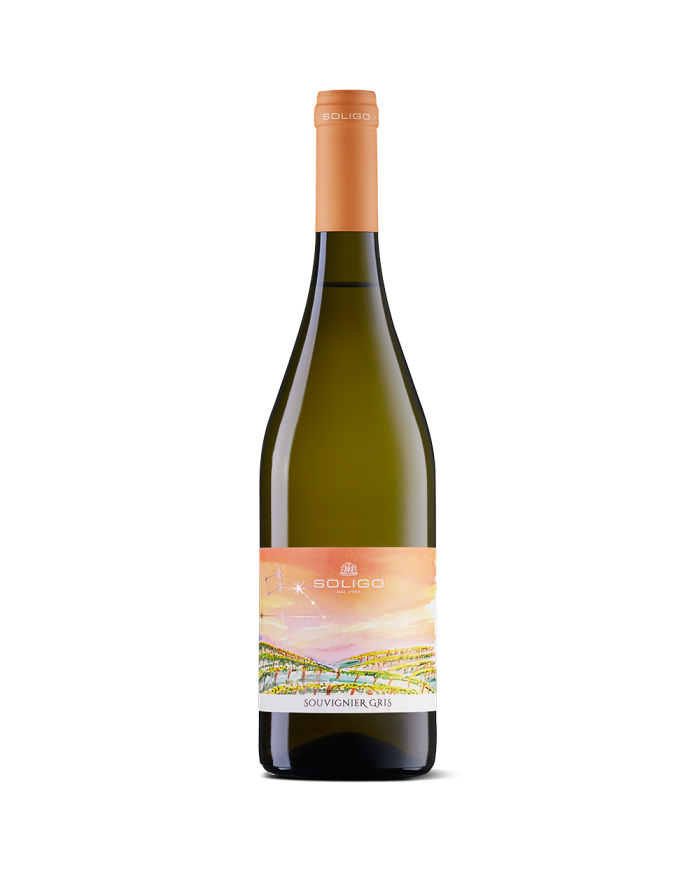 White wines  Souvignier Gris PIWI Resistente 2022 - Colli del Soligo 8,85 â‚¬ White wines  Souvignier Gris PIWI Resistente 2022 - Colli del Soligo 8,85 â‚¬