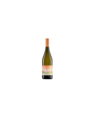 White wines  Souvignier Gris PIWI Resistente 2022 - Colli del Soligo 8,85 â‚¬ White wines  Souvignier Gris PIWI Resistente 2022 - Colli del Soligo 8,85 â‚¬