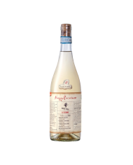Witte Wijnen  Spiritus Terrae Le Gemme Abruzzo Pecorino DOP 2020 – Cantina Orsogna 20,11 €