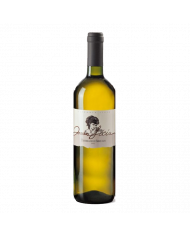 White wines  DONNA LICIA Bianco IGT Colline Teatine 2022 - Fattoria Licia 4,83 €