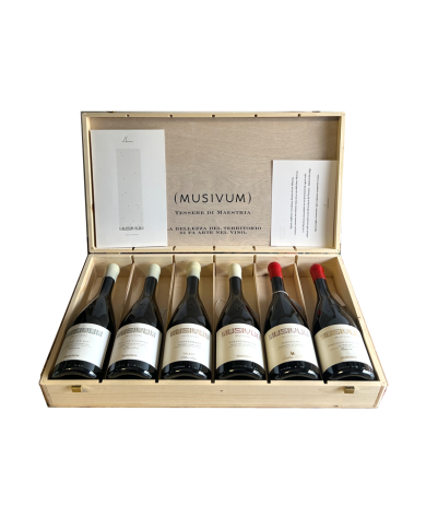 White wines  Confezione in legno da 6 bottiglie miste - Musivum 248,00 € White wines  Confezione in legno da 6 bottiglie miste - Musivum 248,00 €