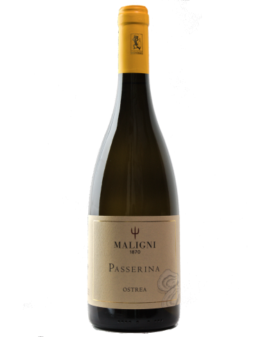 White wines  Ostrea Passerina I.G.T. Colline Teatine 2022 - Cantine Maligni 9,18 â‚¬ White wines  Ostrea Passerina I.G.T. Colline Teatine 2022 - Cantine Maligni 9,18 â‚¬