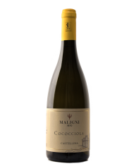 Witte Wijnen  Castellina Cococciola I.G.T. Colline Teatine 2022 - Cantine Maligni 9,18 €