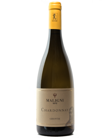White wines  Cryptis Chardonnay varietale 2022 - Cantine Maligni 11,02 €