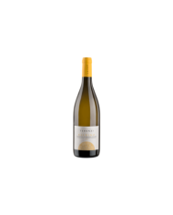 White wines  Balbino Vermentino Maremma Toscana DOC 2021 - Terenzi 11,70 €
