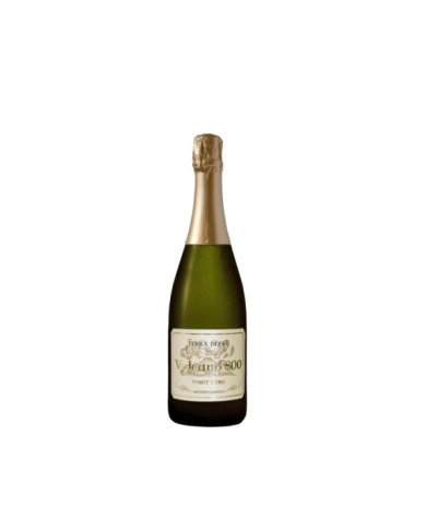 Vini Spumanti  Vulcano 800 Metodo Classico IGP Brut - Terra dei Re 21,31 € Vini Spumanti  Vulcano 800 Metodo Classico IGP Brut - Terra dei Re 21,31 €