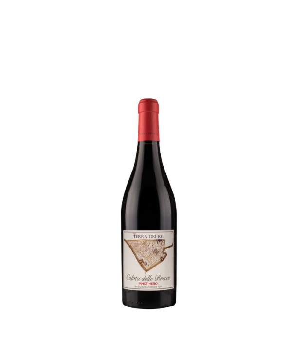 Vini Rossi  Calata Delle Brecce Pinot Nero Igp 2017 - Terra dei Re 28,90 â‚¬ Vini Rossi  Calata Delle Brecce Pinot Nero Igp 2017 - Terra dei Re 28,90 â‚¬