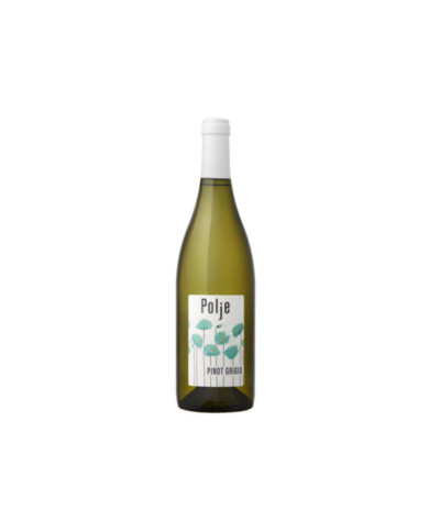 Witte Wijnen  Pinot Grigio DOC Collio 2021 - Polje 14,92 â‚¬ Witte Wijnen  Pinot Grigio DOC Collio 2021 - Polje 14,92 â‚¬