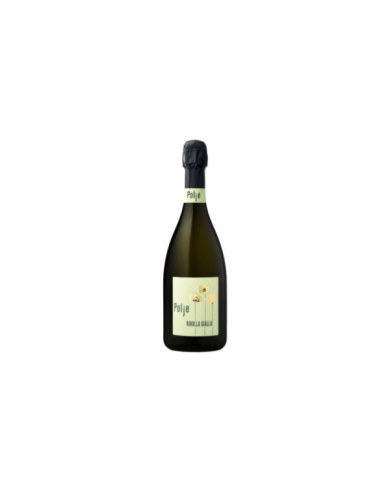 Vini Spumanti  Ribolla Spumante Brut Collio - Polje 13,32 € Vini Spumanti  Ribolla Spumante Brut Collio - Polje 13,32 €