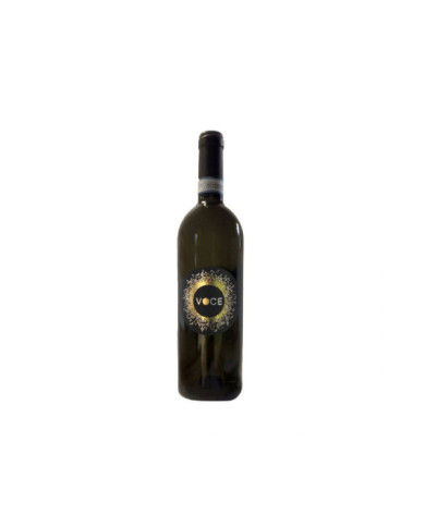 White wines  Voce Pinot Grigio DOC delle Venezie 2016 - Red Canzian 11,68 â‚¬ White wines  Voce Pinot Grigio DOC delle Venezie 2016 - Red Canzian 11,68 â‚¬