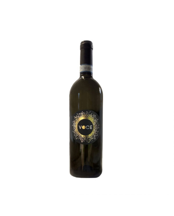 Vini Bianchi  Voce Pinot Grigio DOC delle Venezie 2016 - Red Canzian 11,68 â‚¬ Vini Bianchi  Voce Pinot Grigio DOC delle Venezie 2016 - Red Canzian 11,68 â‚¬