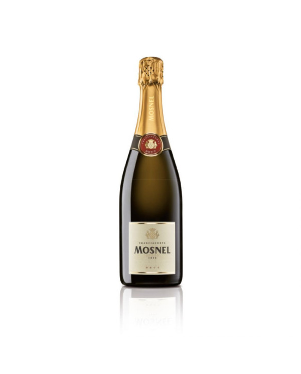 Große Formate  Franciacorta DOCG Brut magnum - Mosnel 44,55 € Große Formate  Franciacorta DOCG Brut magnum - Mosnel 44,55 €