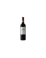 Vini Rossi  Rosso di Montalcino Doc magnum 2021 - Ventolaio 40,90 €