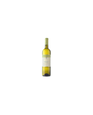 Witte Wijnen  Albiano Verdicchio dei Castelli di Jesi Classico DOC 2022 - Marotti Campi 5,74 €