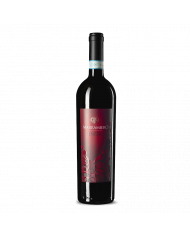 Vini Abruzzesi  INFERI Montepulciano D’Abruzzo D.O.C. Terre dei Vestini Riserva 1999 - Marramiero 36,80 €