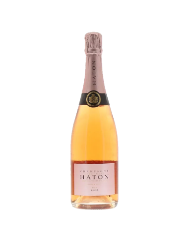 Vini Rosè  Champagne Brut Rosè - Jean Noel Haton 35,33 € Vini Rosè  Champagne Brut Rosè - Jean Noel Haton 35,33 €