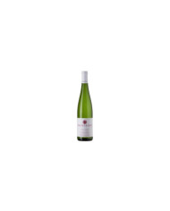 White wines  Pinot Grigio Valle Isarco Alto Adige DOC 2023 - Pacherhof 17,10 â‚¬ White wines  Pinot Grigio Valle Isarco Alto Adige DOC 2023 - Pacherhof 17,10 â‚¬