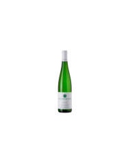 White wines  Risesling Valle Isarco Alto Adige DOC 2023 - Pacherhof 20,30 â‚¬ White wines  Risesling Valle Isarco Alto Adige DOC 2023 - Pacherhof 20,30 â‚¬