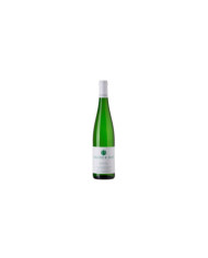 Witte Wijnen  Risesling Valle Isarco Alto Adige DOC 2023 magnum - Pacherhof 30,40 â‚¬ Witte Wijnen  Risesling Valle Isarco Alto Adige DOC 2023 magnum - Pacherhof 30,40 â‚¬