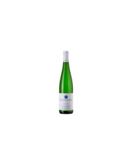 White wines  Sylvaner Valle Isarco Alto Adige DOC 2023 magnum - Pacherhof 39,20 â‚¬ White wines  Sylvaner Valle Isarco Alto Adige DOC 2023 magnum - Pacherhof 39,20 â‚¬