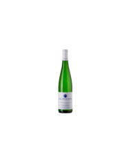 Witte Wijnen  Gruner Veltliner Valle Isarco Alto Adige DOC 2021 - Pacherhof 15,70 â‚¬ Witte Wijnen  Gruner Veltliner Valle Isarco Alto Adige DOC 2021 - Pacherhof 15,70 â‚¬