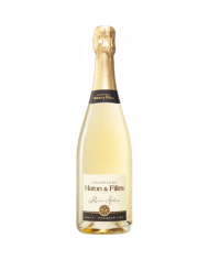 Vini Bianchi  Champagne Blanc de Blancs - Jean Noel Haton 47,32 â‚¬ Vini Bianchi  Champagne Blanc de Blancs - Jean Noel Haton 47,32 â‚¬